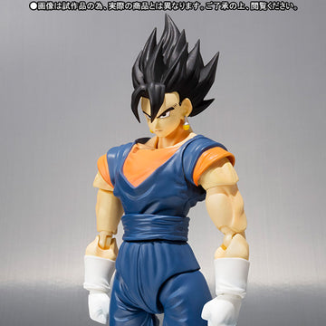 Vegetto