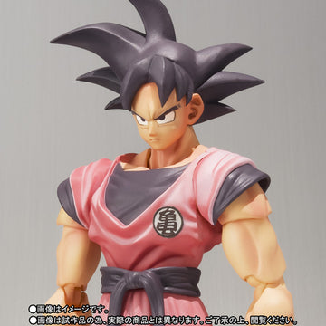 SON GOKU -Kaiohken-