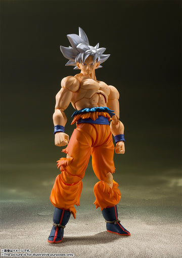 SON GOKU ULTRA INSTINCT
