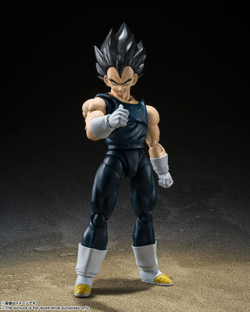 VEGETA SUPER HERO