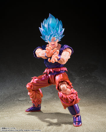 SUPER SAIYAN GOD SUPER SAIYAN SON GOKU KAIO-KEN