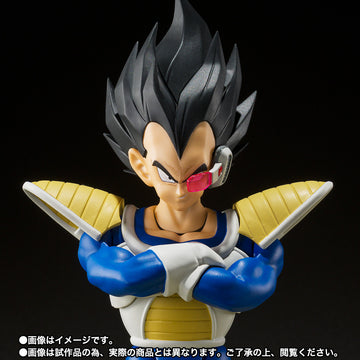 VEGETA -24000 POWER LEVEL-