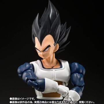 VEGETA -OLDER STYLE BATTLE CLOTHES-