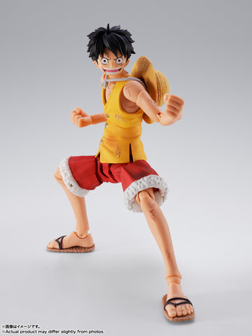 MONKEY.D.LUFFY -MARINEFORD-